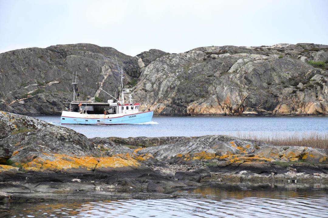 Photo of Others in Skaerhamn