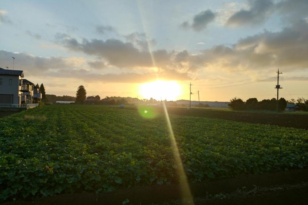 Photo of Others in Narita