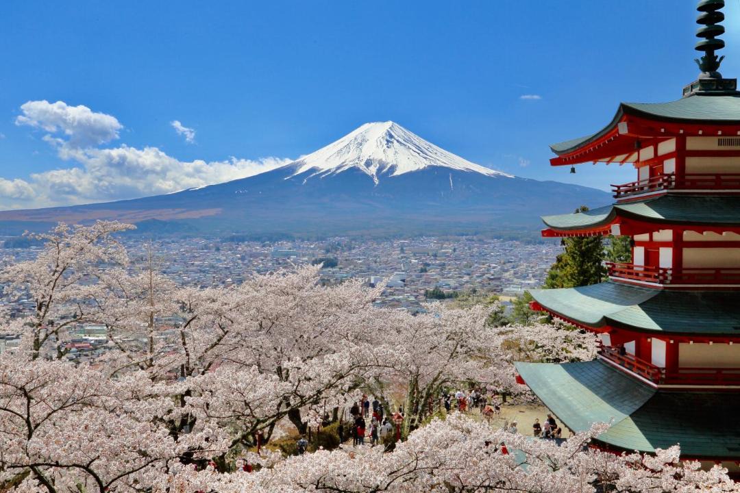 Photo of Others in Fujiyoshida
