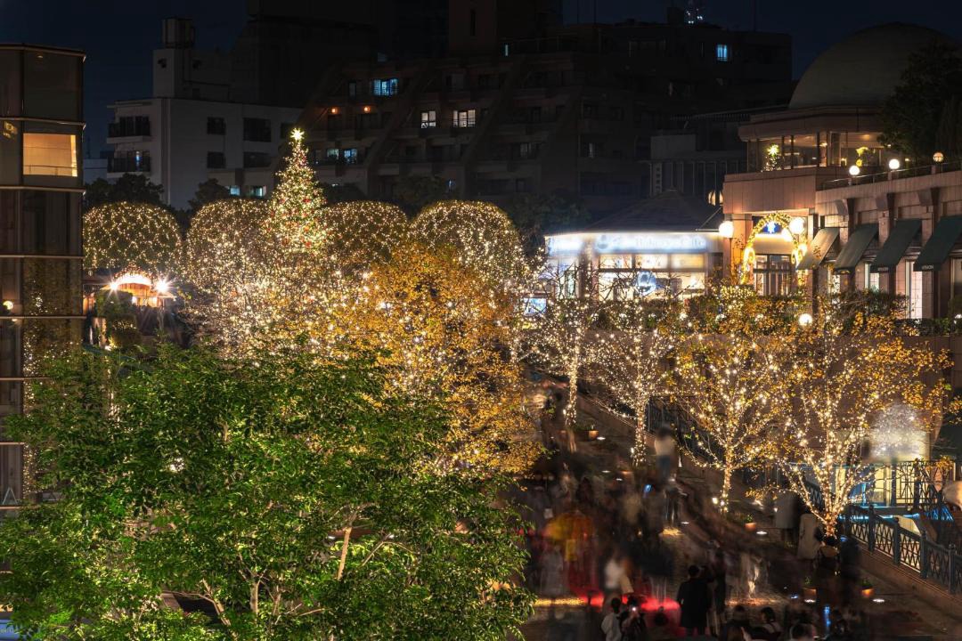 Photo of Others in Ebisu