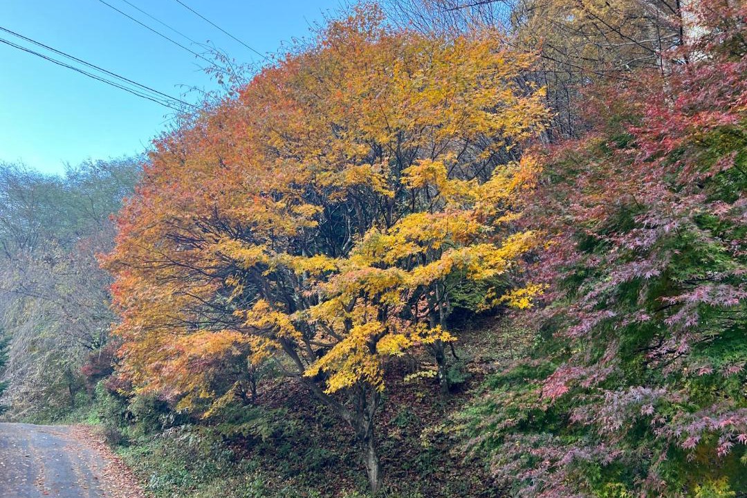 Photo of Others in Narai-juku