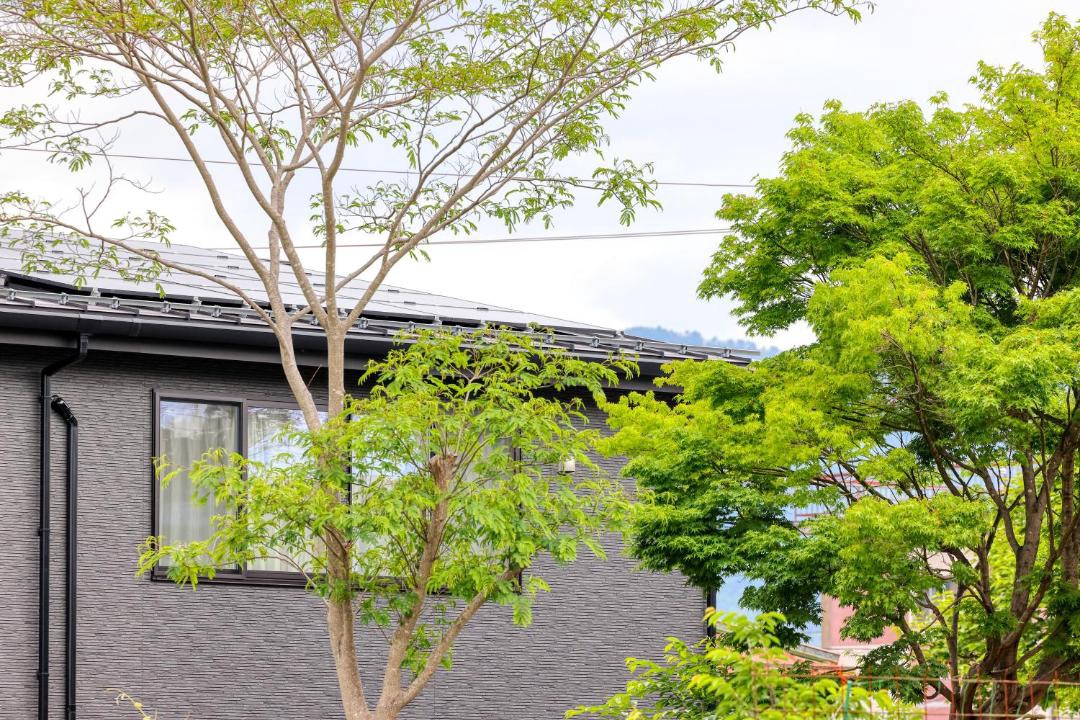 Photo of Others in Shimo-yoshida