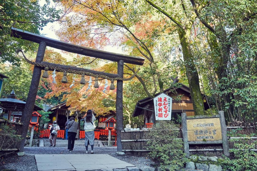 Photo of Others in Arashiyama