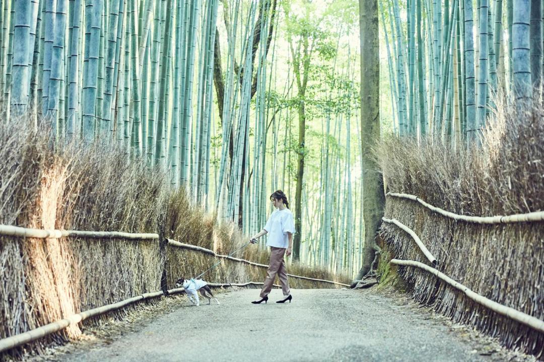 Photo of Others in Arashiyama