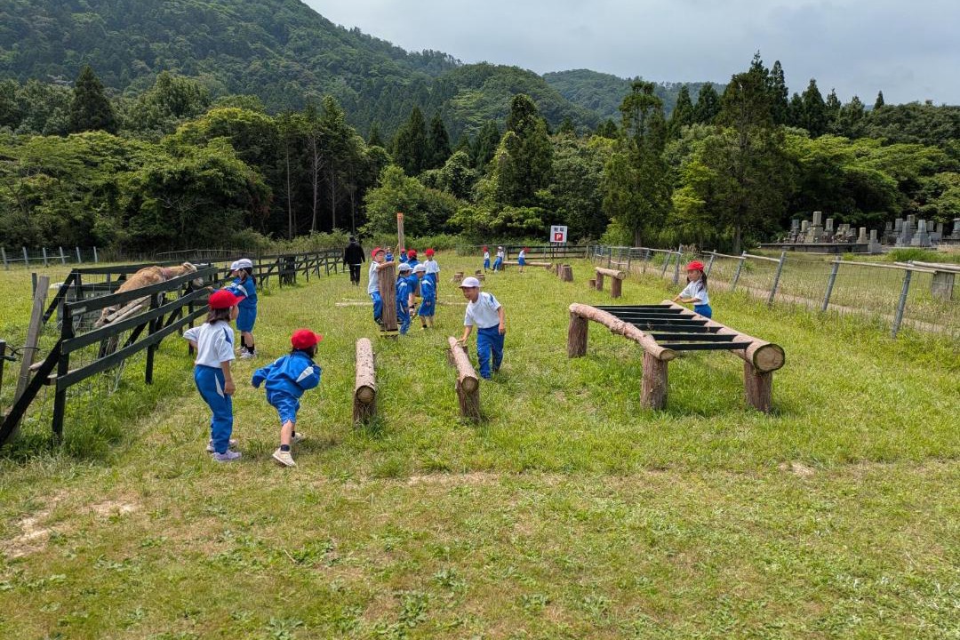 Photo of Others in Fukui