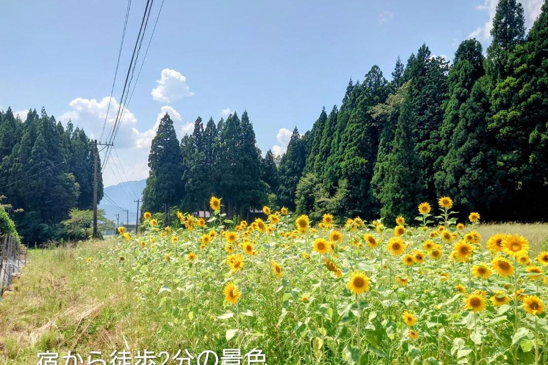 Photo of Others in Katsuyama