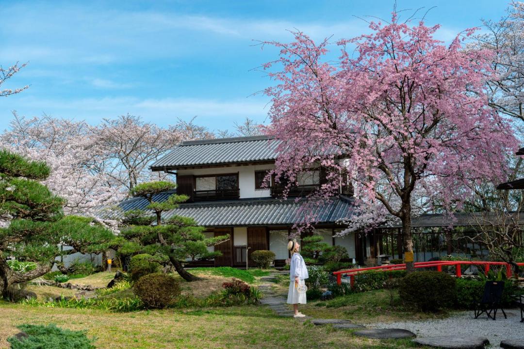 Photo of Others in Izumi