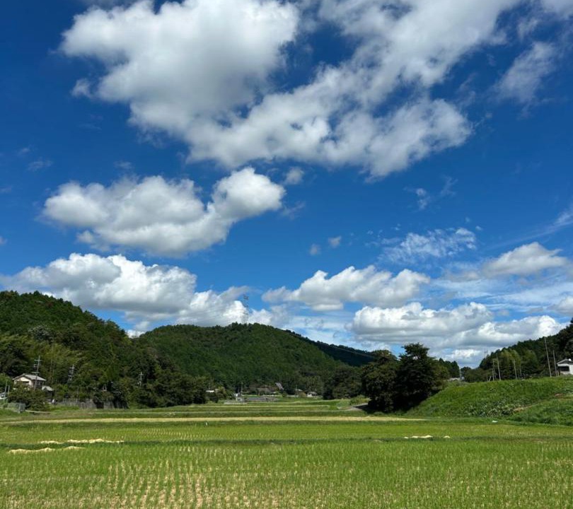 Photo of Others in Kameoka