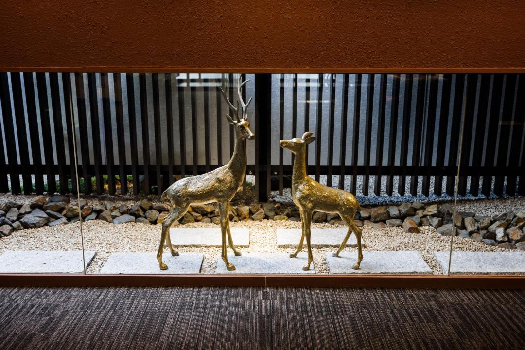 Photo of Others in Nara