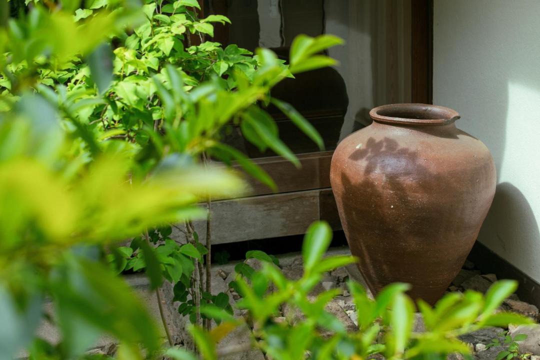 Photo of Others in Sasayama
