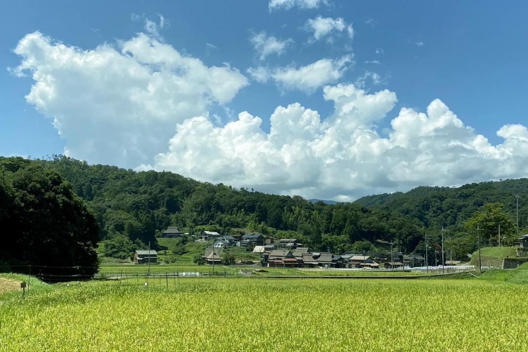 Photo of Others in Ohara