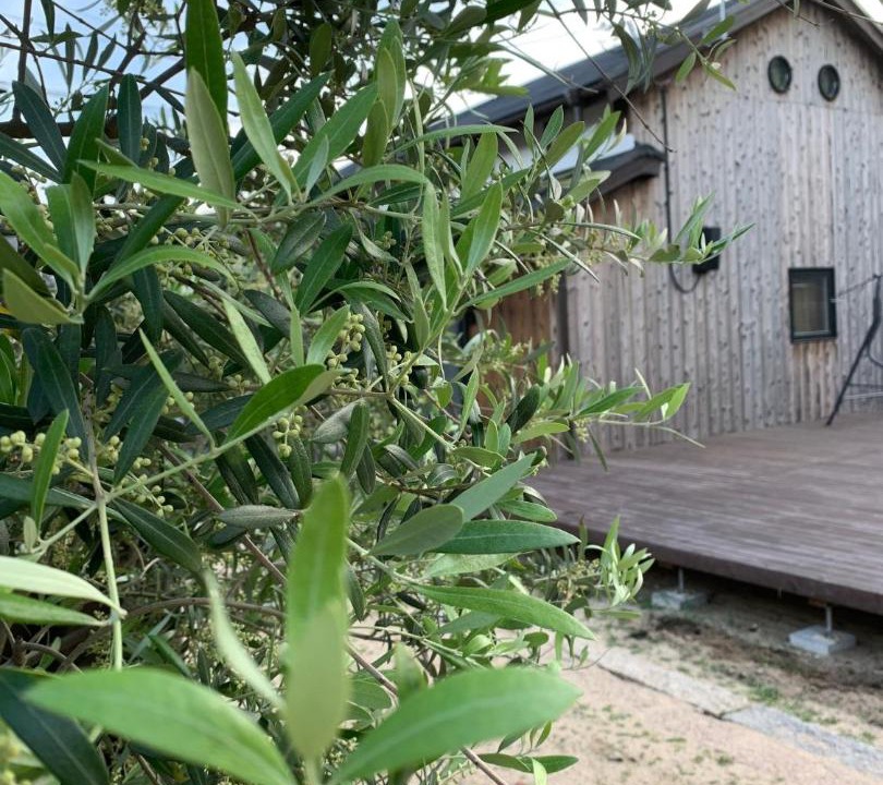 Photo of Others in Shiyu-jima District