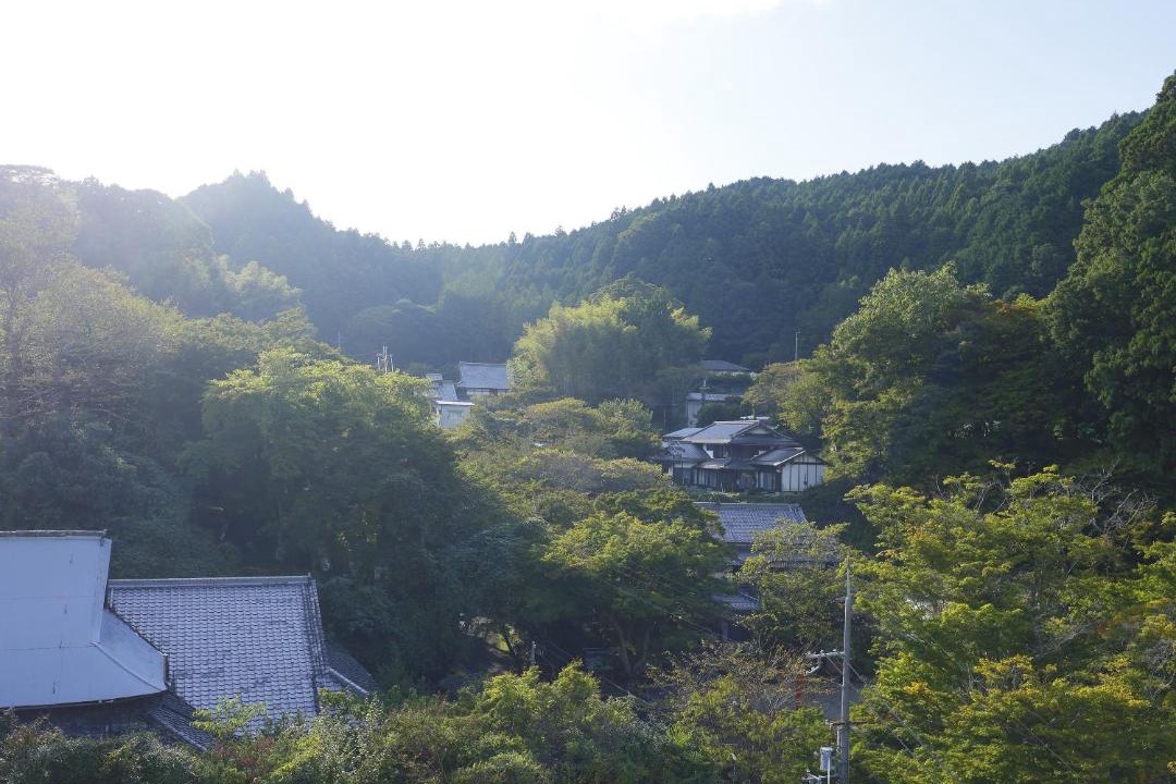 Photo of Others in Sakurai