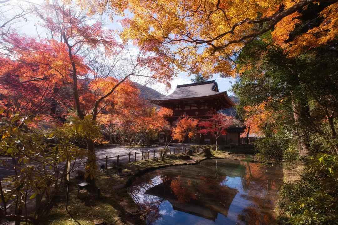 Photo of Others in Nara