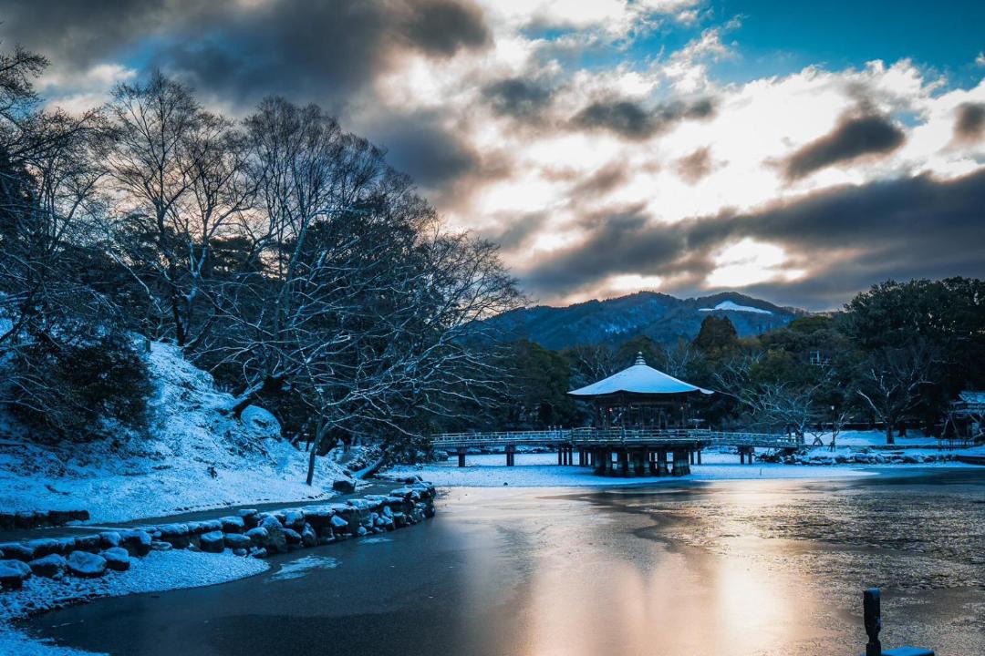 Photo of Others in Nara