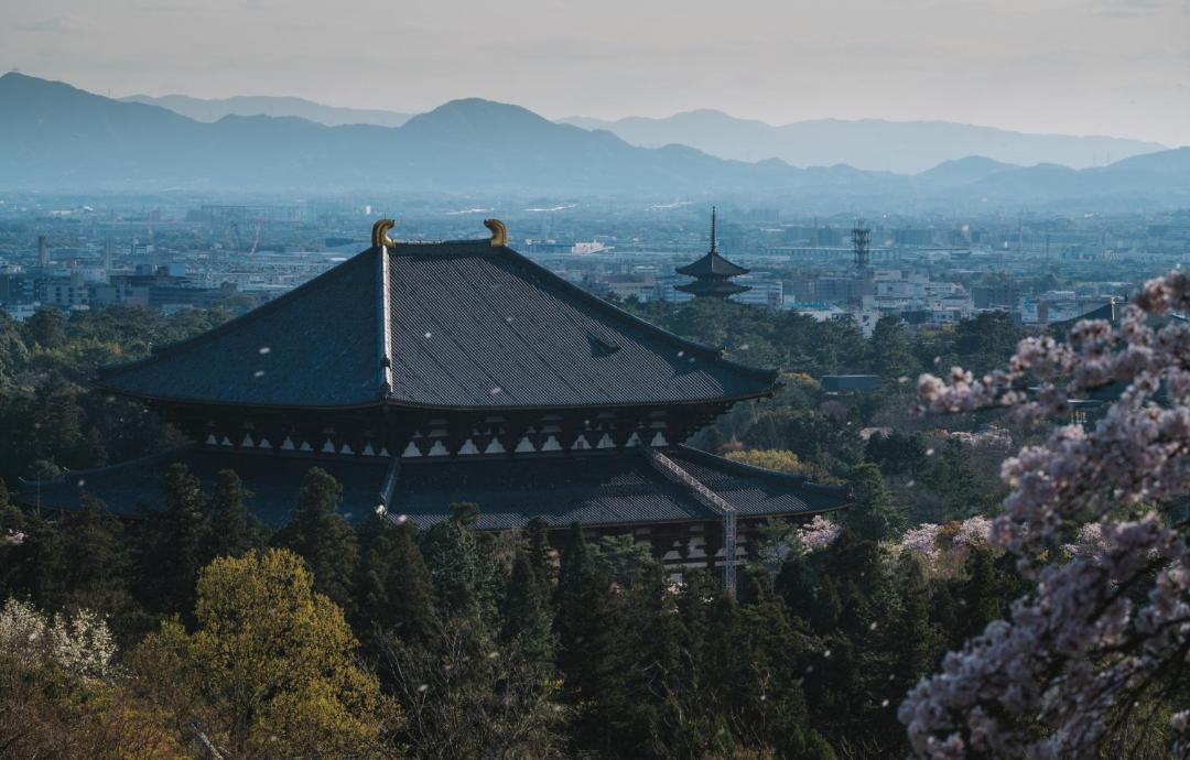 Photo of Others in Nara