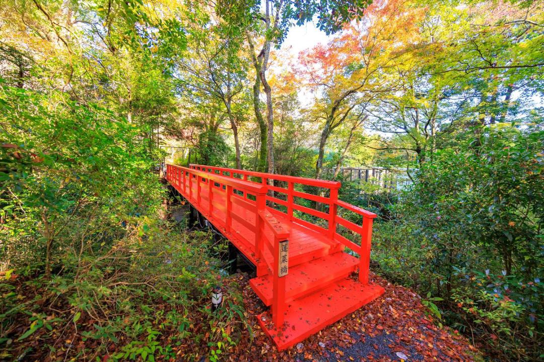 Photo of Others in Hakone