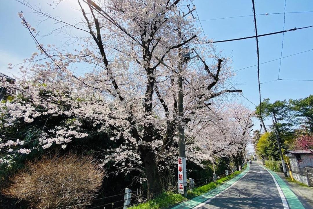 Photo of Others in Tokorozawa