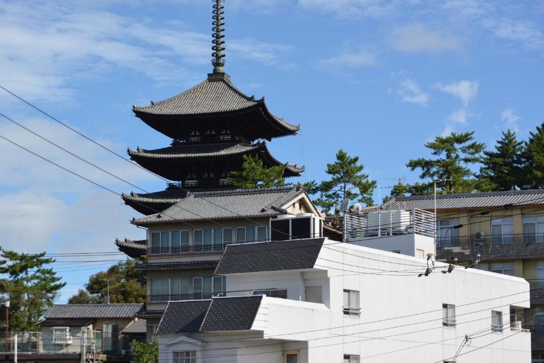 Photo of Others in Nara
