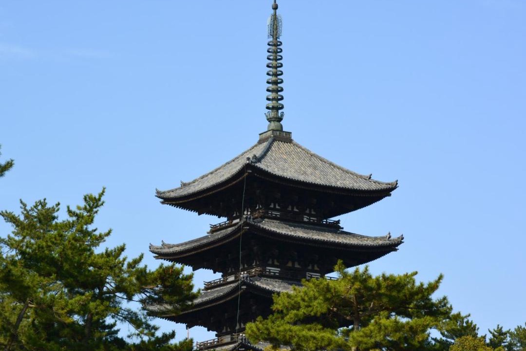 Photo of Others in Nara