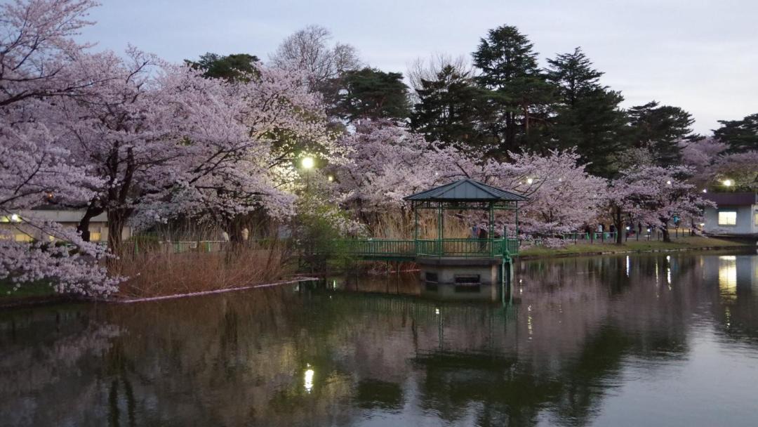 Photo of Others in Omiya