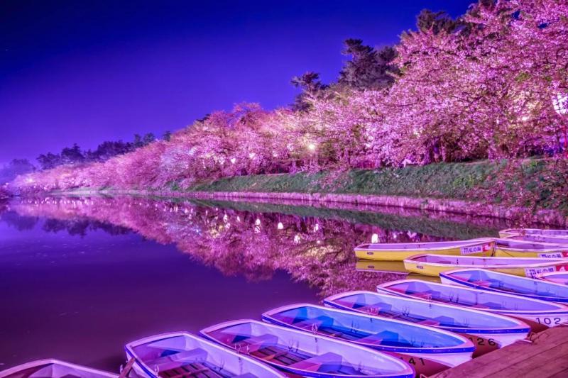 Photo of Others in Nishinippori