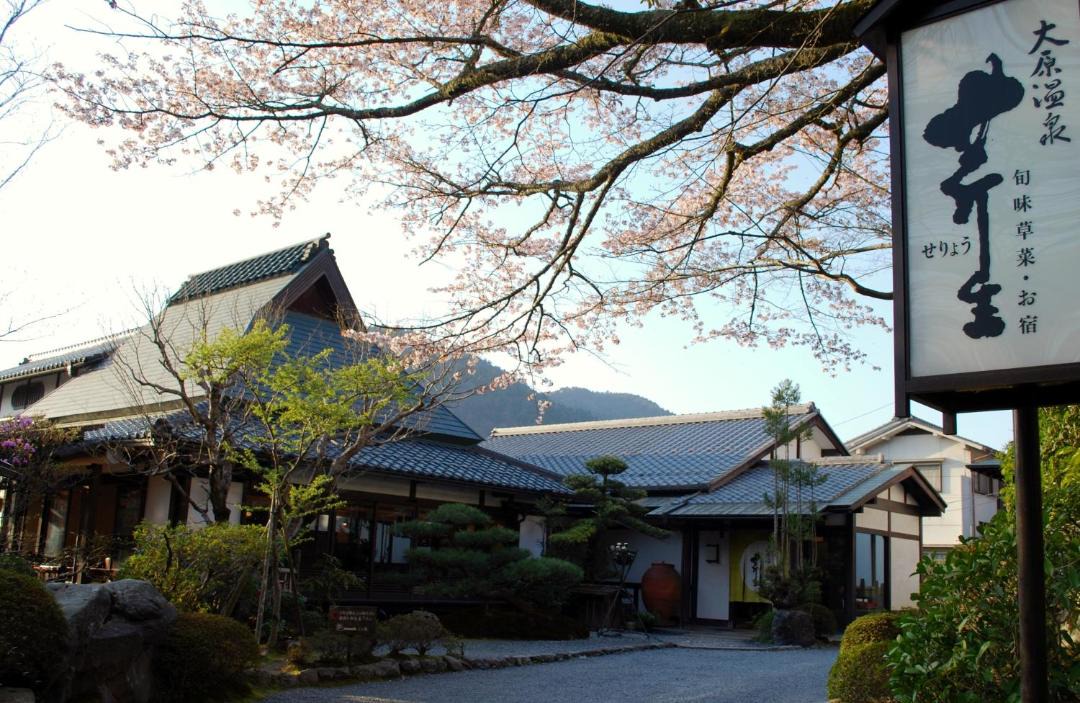 Photo of Others in Ohara