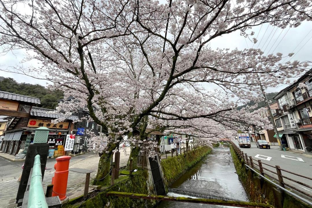 Photo of Others in Kinosaki Onsen