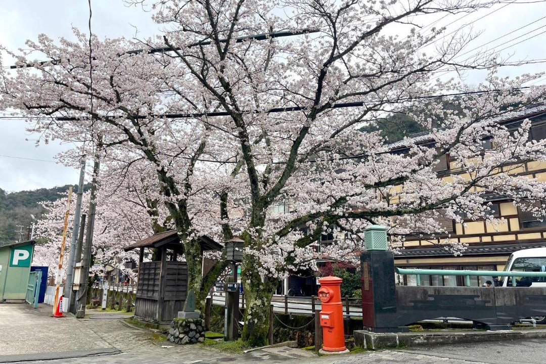 Photo of Others in Kinosaki Onsen