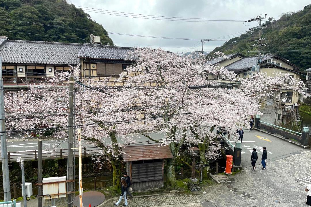 Photo of Others in Kinosaki Onsen