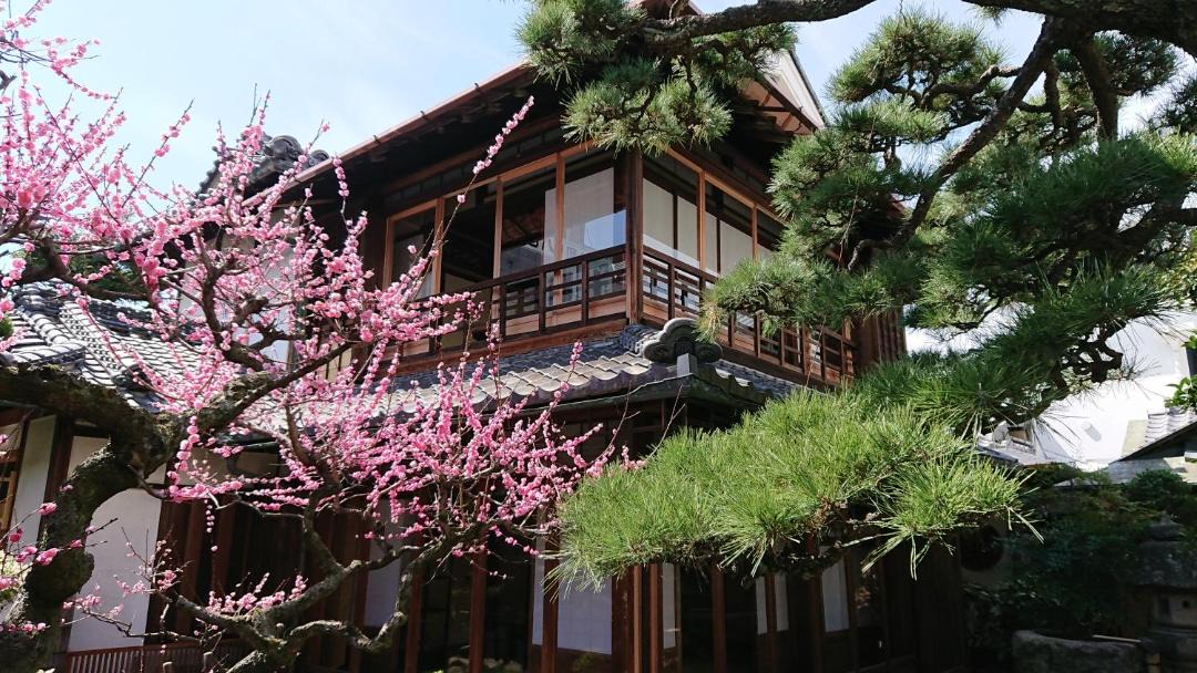 Photo of Buildings in Sakurai