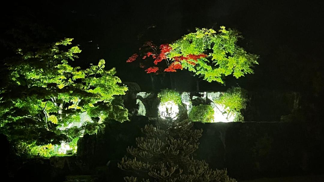 Photo of Others in Nara