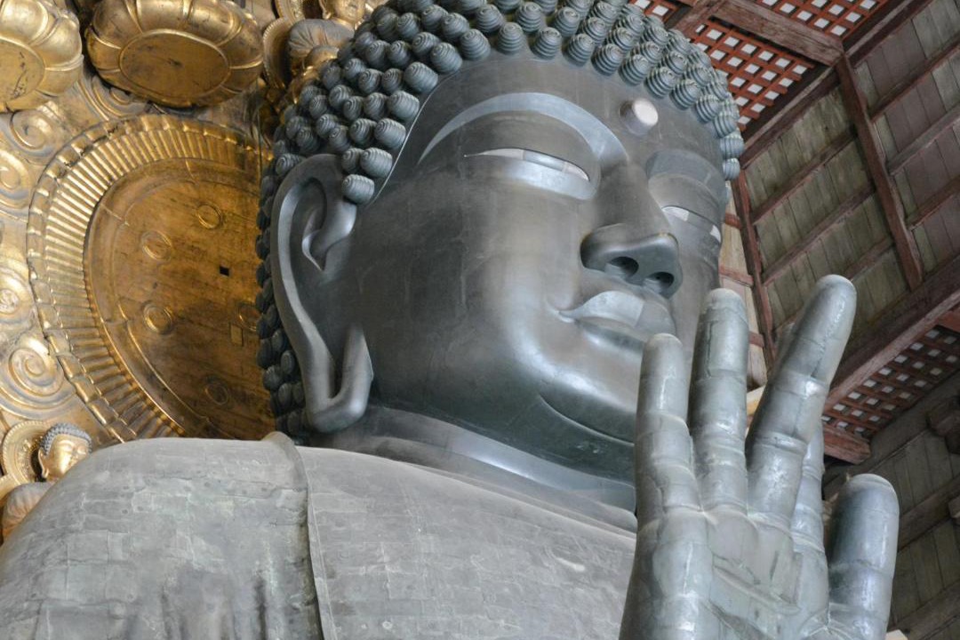 Photo of Others in Nara