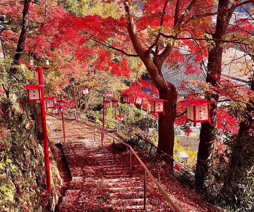 Photo of Others in Yoshino