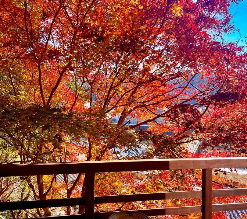 Photo of Others in Yoshino