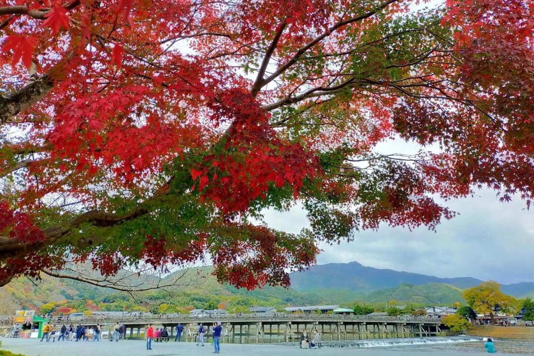 Photo of Others in Arashiyama