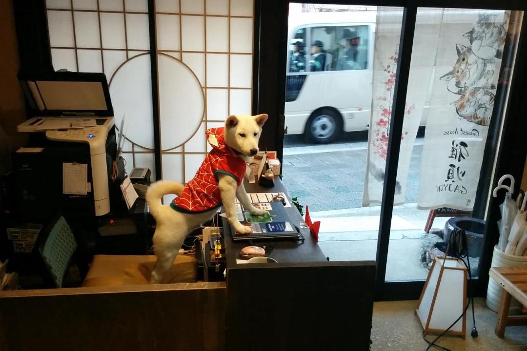 Photo of Others in Okazaki