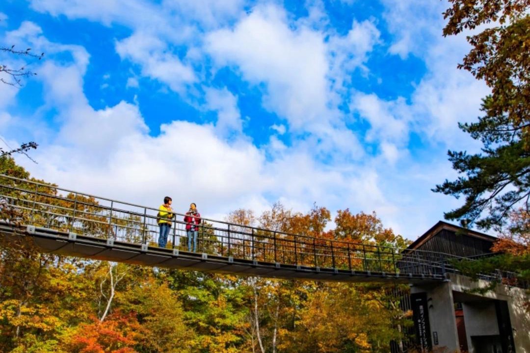 Photo of Others in Tsumagoi