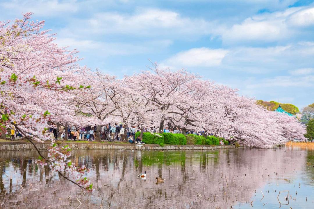 Photo of Others in Nishinippori