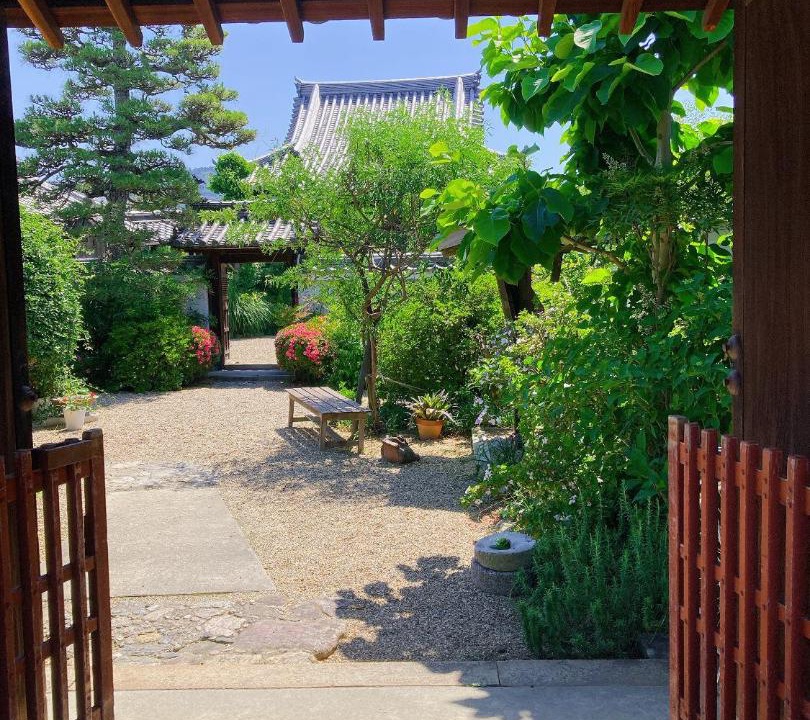 Photo of Others in Nara