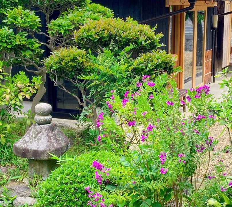 Photo of Others in Nara