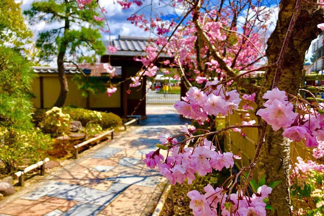 Photo of Others in Arashiyama