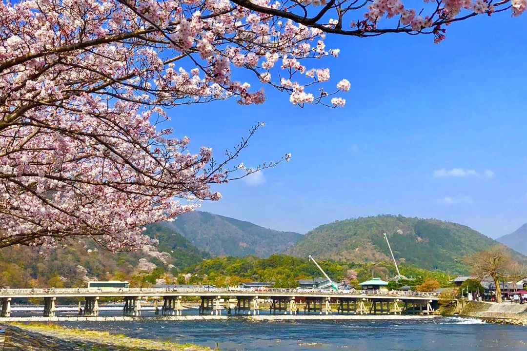 Photo of Others in Arashiyama