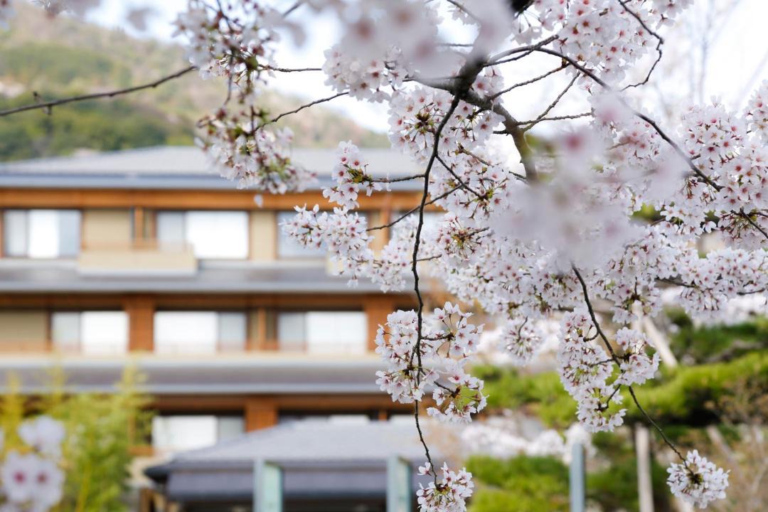 Photo of Others in Arashiyama