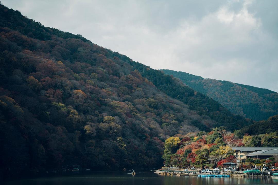 Photo of Others in Arashiyama