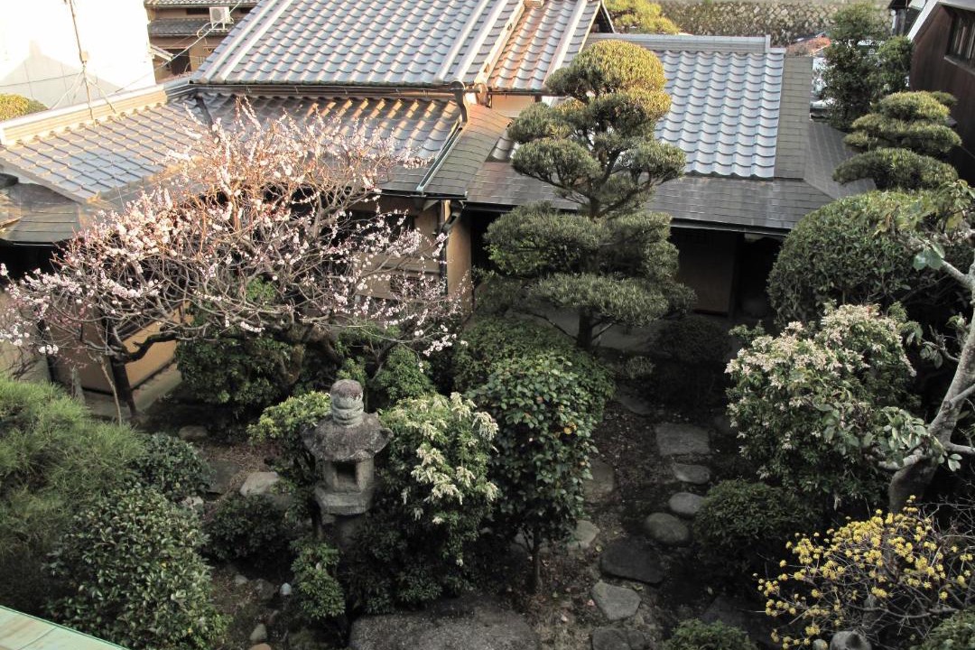 Photo of Buildings in Nara