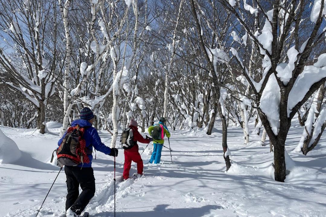 Photo of Others in Madarao Mountain Resort