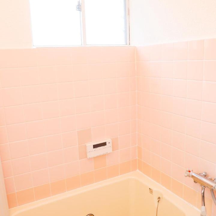 Photo of Bathroom in Koriyama