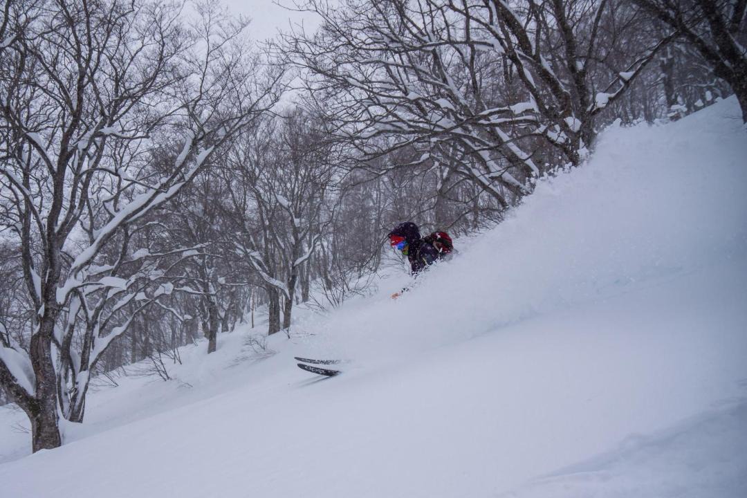 Photo of Others in Akakura