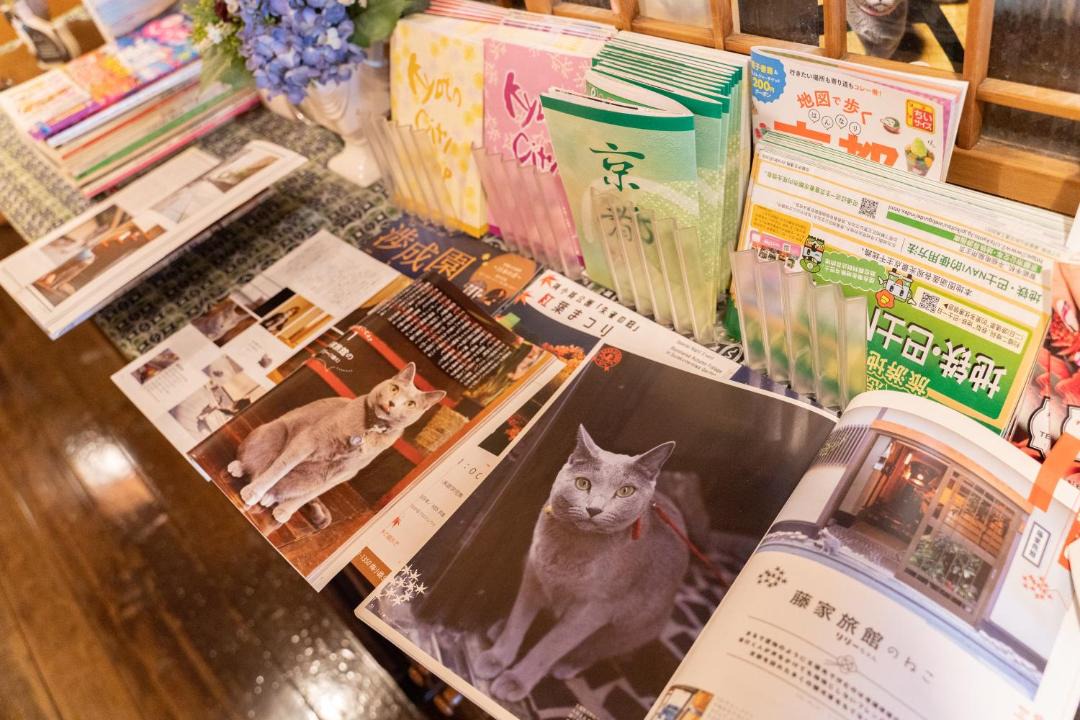 Photo of Others in Shimogyo